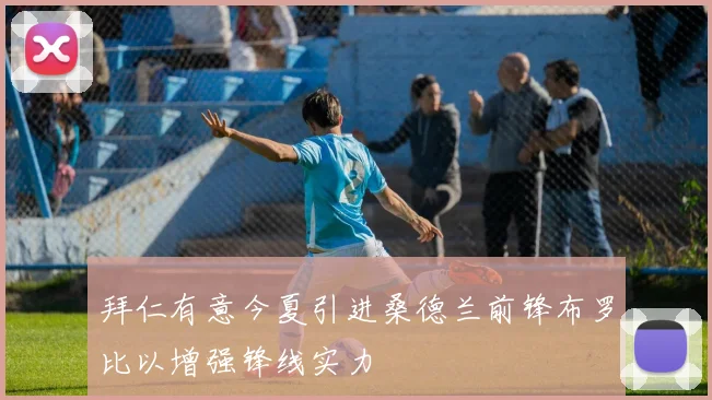 拜仁有意今夏引进桑德兰前锋布罗比以增强锋线实力