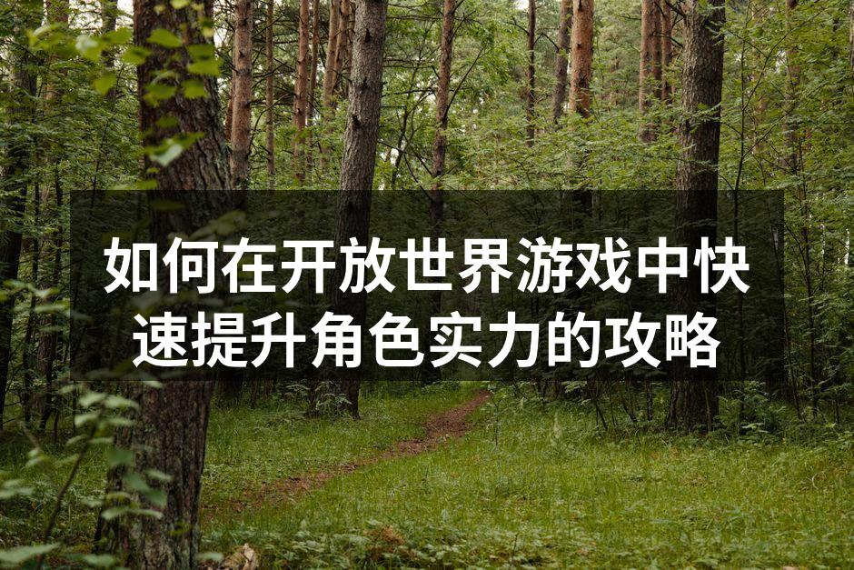如何在开放世界游戏中快速提升角色实力的攻略